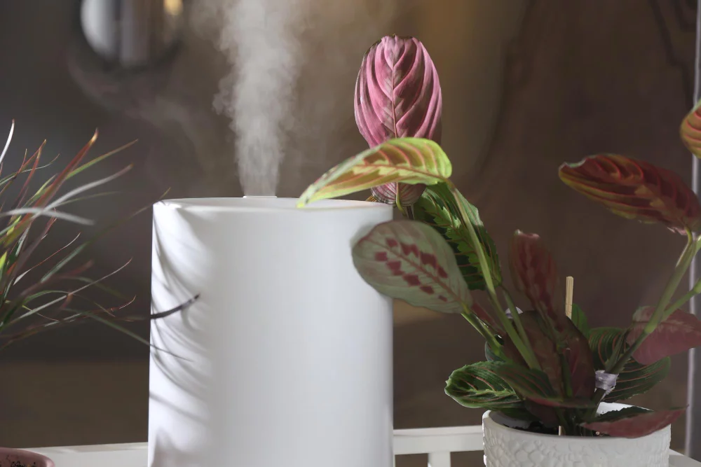 Creating Atmosphere in Every Room